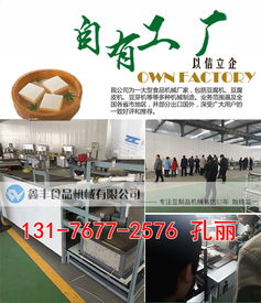 河南商丘豆腐皮機(jī)采購指南 廠家直銷、商用價(jià)格與購買渠道
